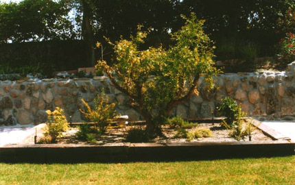 Jardineria